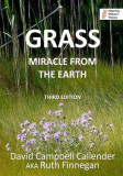 Grass: Miracle from the earth