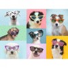 Puzzle Catei Amuzanti, 150 Piese, Ravensburger