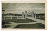 3953 - SFANTU-GHEORGHE, Covasna SCOUT CAMP. - old postcard, real Photo used 1940