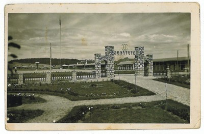 3953 - SFANTU-GHEORGHE, Covasna SCOUT CAMP. - old postcard, real Photo used 1940 foto