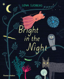 Bright in the Night | Lena Sjoberg, Thames &amp; Hudson Ltd