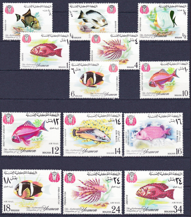 DB1 Fauna Marima Yemen Pesti 13 v. MNH