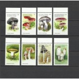 COMORES 1999 CIUPERCI