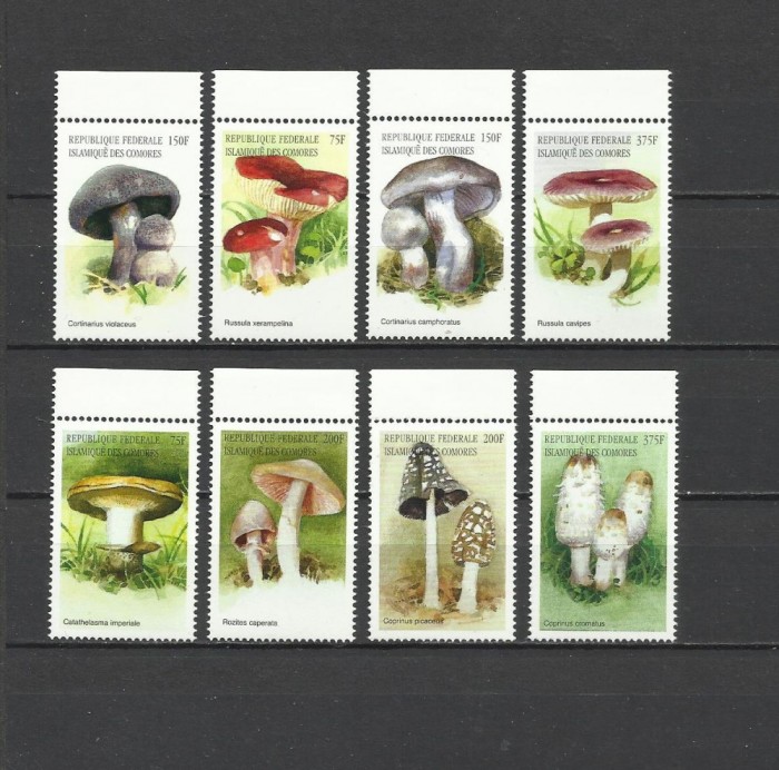 COMORES 1999 CIUPERCI