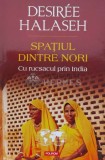Cumpara ieftin Spatiul dintre nori - 2016 - Desiree Halaseh (J65)