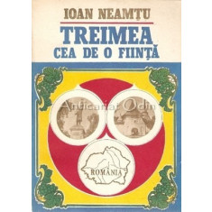 Treimea Cea De O Fiinta - Ioan Neamtu