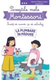 Cumpara ieftin Povestile mele Montessori. Invat sa numar si sa calculez: La plimbare in padure. Nivelul 3