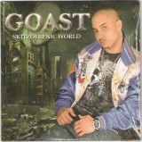 CD Goast &lrm;&ndash; Skitzofrenic World, hip-hop