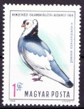 TSV$ - 1969 MICHEL 2562 UNGARIA - PORUMBEL, MNH/** LUX, Nestampilat