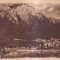 Busteni Vedere Generala (scrisa)