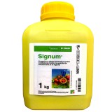 Signum 1kg, fungicid sistemic, BASF, putregai brun si mumificarea fructelor (cais, piersic, cires, visin, prun), putregai cenusiu si fainare (tomate),
