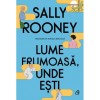 Lume frumoasa, unde esti - Sally Rooney, Curtea Veche. Roman beletristica