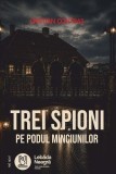 Carte Trei spioni pe Podul Minciunilor - Roman de spionaj de Cristian Contras
