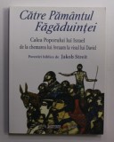 CATRE PAMANTUL FAGADUINTEI - CALEA POPORULUI LUI ISRAEL DE LA CHEMAREA LUI AVRAAM LA VISUL LUI DAVID , POVESTIRI BIBLICE de JAKOB STREIT , ilustratii