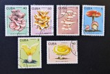 Ciuperci - Cuba 1989 - Set 6 Timbre Setas Comestibles CP1_I
