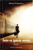 Sidonia Dragusanu - Intr-o Gara Mica - Roman - Editura Hoffman 2018 - Beletristica