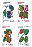 Romania, LP 1547/2001, Fructe de padure, MNH, Nestampilat