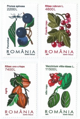Romania, LP 1547/2001, Fructe de padure, MNH foto