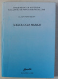 SOCIOLOGIA MUNCII de HOFFMAN OSCAR , 1996