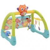 Jucarie 5 in 1 pentru gimnastica Owl