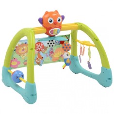 Jucarie 5 in 1 pentru gimnastica Owl