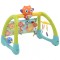 Jucarie 5 in 1 pentru gimnastica Owl