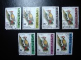 ETIOPIA FAUNA
