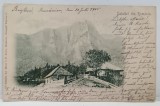 VEDERE DIN POIANA TAPULUI , CARTE POSTALA ILUSTRATA , CLASICA , DATATA 1905