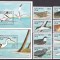 Maldive 1990 fauna pasari MI 1434-1441 + 2 bl.170,171 MNH