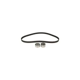 Kit distributie KIA CARENS II FJ DAYCO KTB786