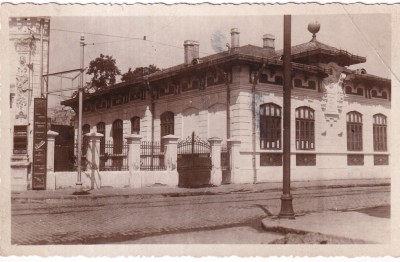 Braila. (necirculata.) foto