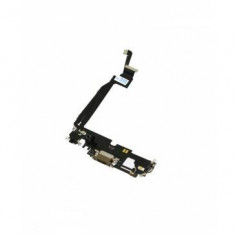 Modul Incarcare Apple iPhone 12 Pro Max Gold foto