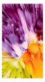 Tablou Canvas, "Revărsare de culori vii și intense", Culori, Explozie, Dinamism, Energie, Contrast, Flori, Abstracție, Violete, Vibrant, Lumină, 26 x