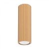 Lampă De Tavan Karbon Din Aluminiu Aurit, 1 Bec Tub Minimalist De Interior