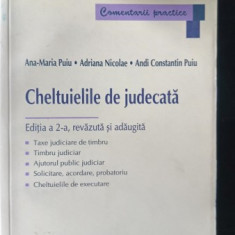 Cheltuiel de Judecata - Ana-Maria Puiu , Adriana Nicolae , Andi Constantin Puiu