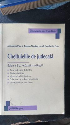 Cheltuiel de Judecata - Ana-Maria Puiu , Adriana Nicolae , Andi Constantin Puiu foto