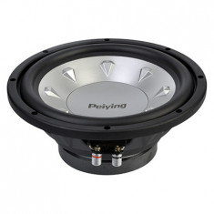 SUBWOOFER AUTO 250MM 300W