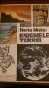 Enigmele terrei Horia Matei 1978