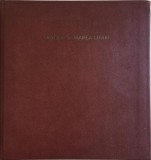 Aradul si Marea Unire