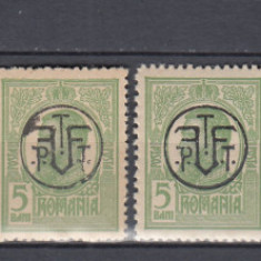 ROMANIA 1919 LP 71 I CAROL I SUPRATIPAR P.T.T.F.F. HARTIE ALBA+GRI+RANVERSAT MNH