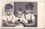 Bnk foto - Copii - Portret Foto Brasov, Alb-Negru, Romania de la 1950, Portrete