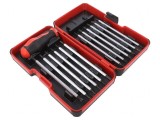 Set Capete Șurubelniță cu Etui 13 Bucăți