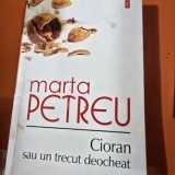 CIORAN SAU UN TRECUT DEOCHEAT - MARTA PETREU