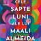 Cele sapte Luni Ale Lui Maali Almeida, Shehan Karunatilaka - Editura Bookzone