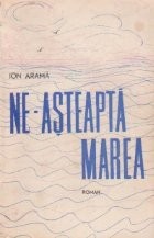 Ne-asteapta marea foto