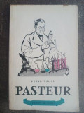Pasteur- Petre Tautu