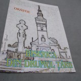 Cumpara ieftin ORASTIE BISERICA DIN DRUMUL TARII /FORMAT MARE