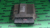 Calculator motor Fiat Grande Punto ( 10.2005- 55195817, Array