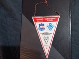 Fanion Dinamo - Bordeaux