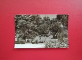 CARTE POSTALA - RPR - CLUJ - VEDERE DIN GRADINA BOTANICA